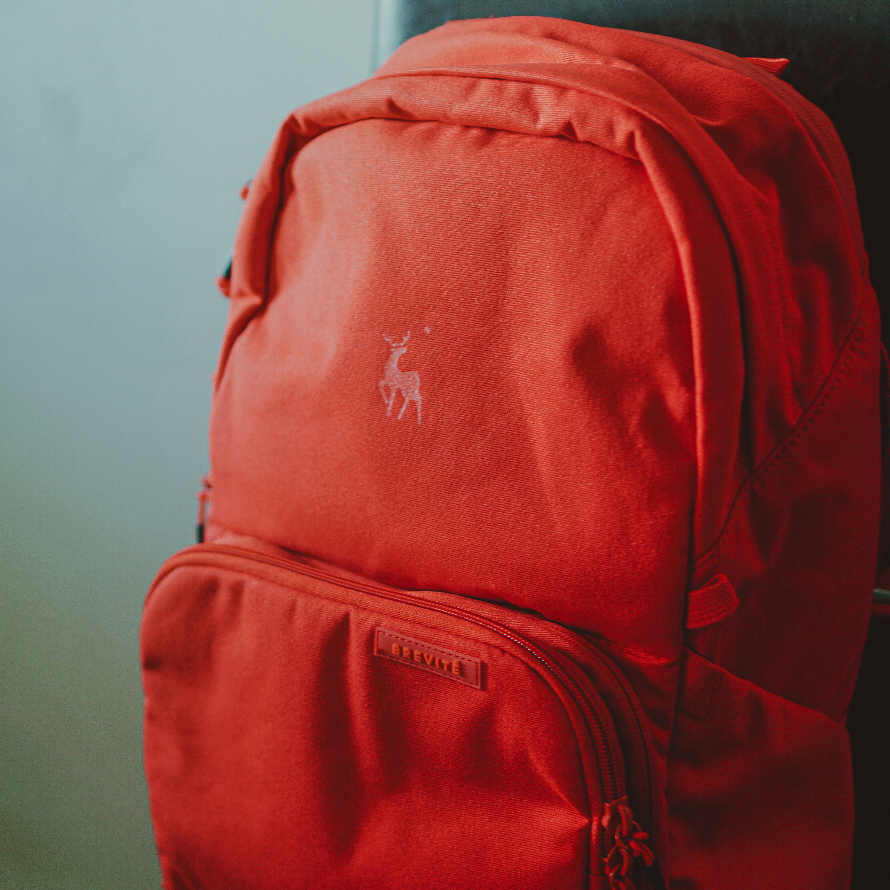 Red Kids Backpack